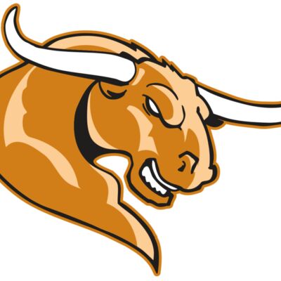 AR BULL 14 RC Thumbnail