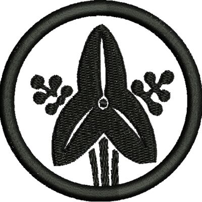 NZ559 Thumbnail